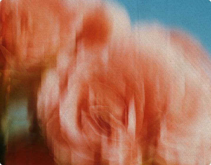 Token Launches in the Modern Era