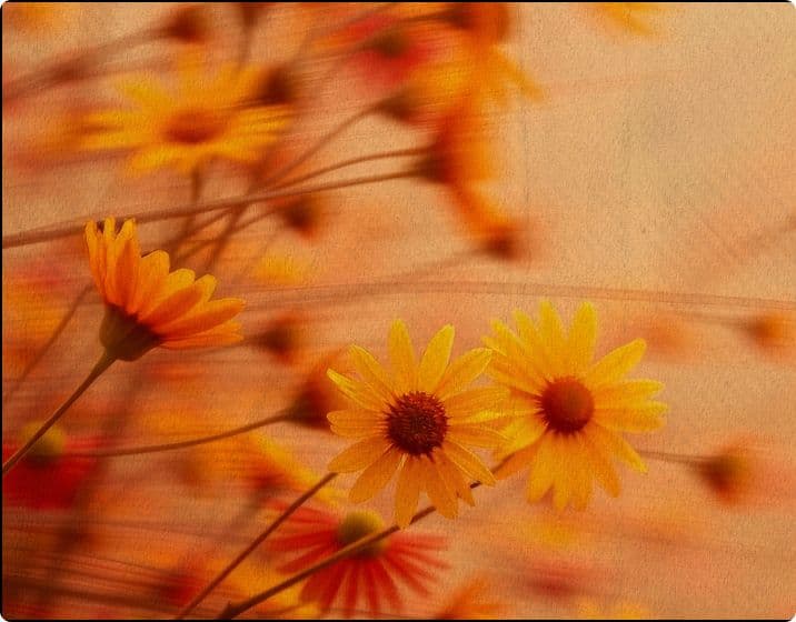 Introducing Grove Data