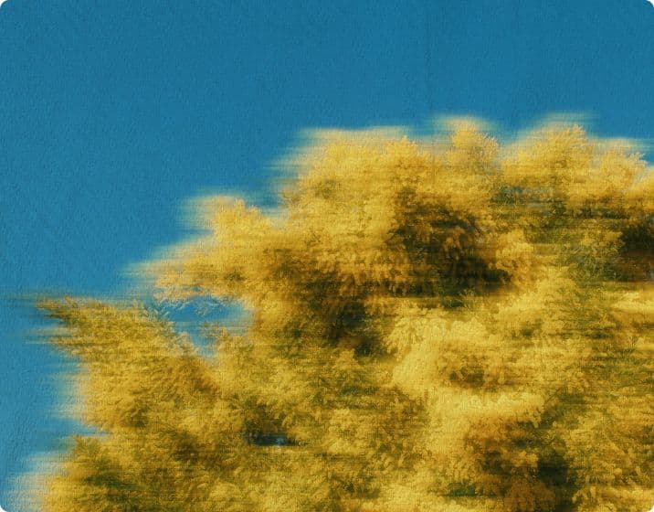 Unlocking Onchain Credit: Grove’s $1B Deployment into Tokenized CLOs